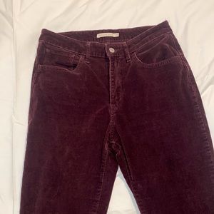 Burgundy Levi boot cut jeans